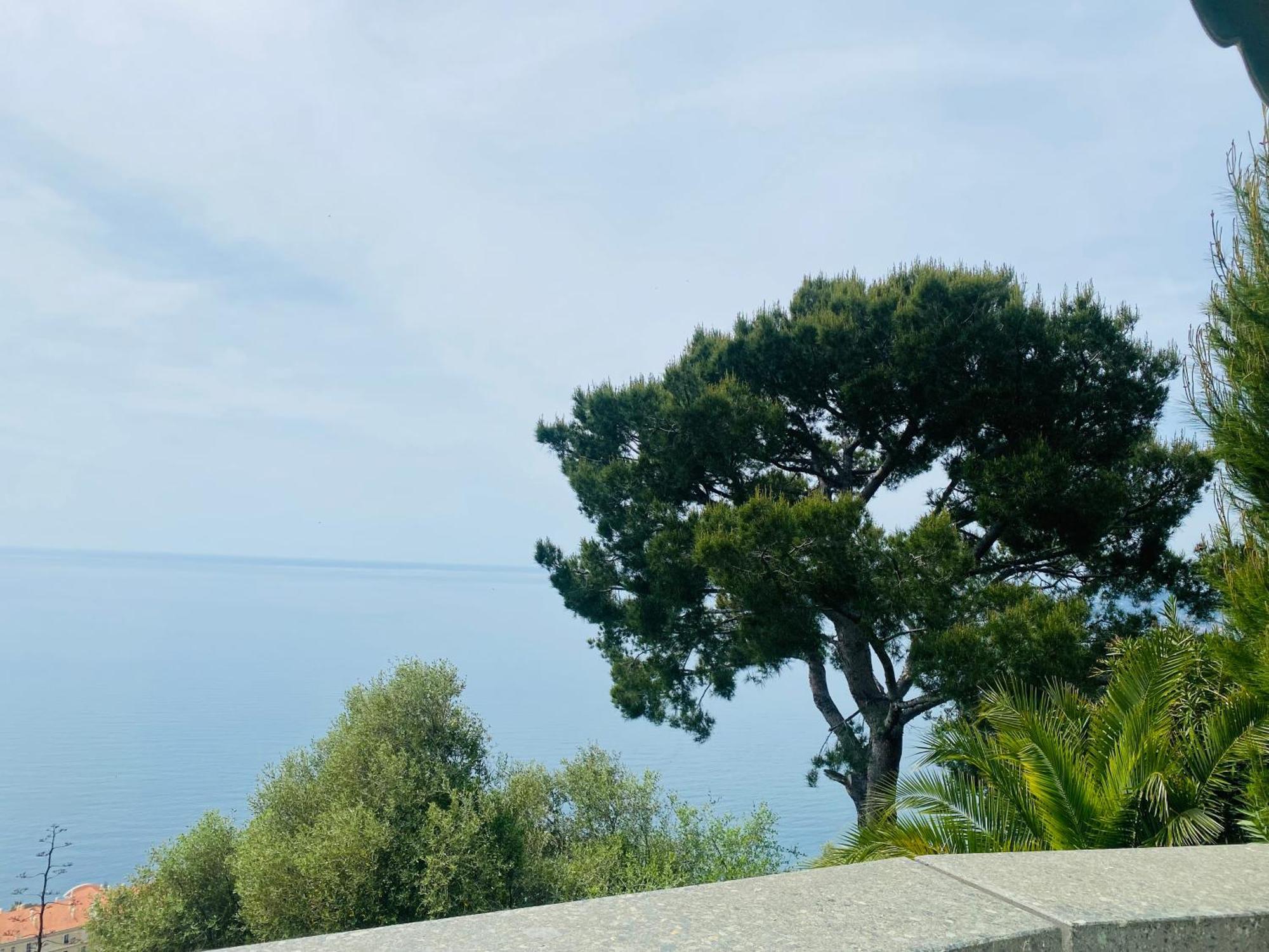 Sunny Costa Plana-monaco -cap D'ail *