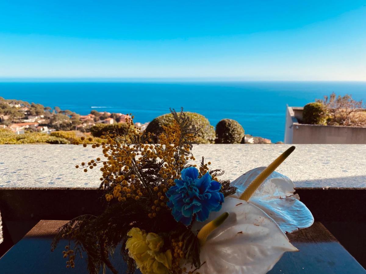 Sunny Costa Plana-monaco -cap D'ail