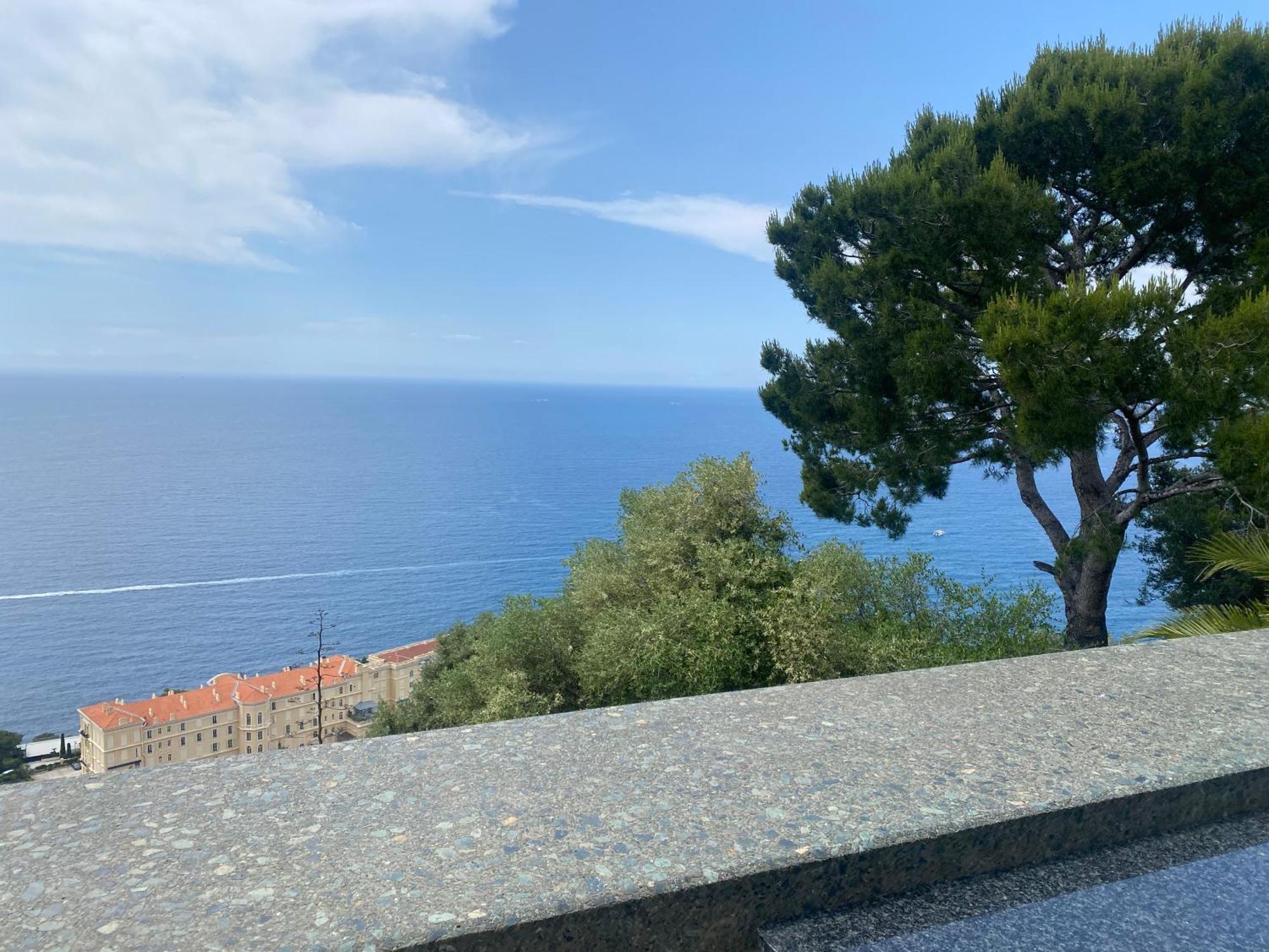 Sunny Costa Plana-monaco -cap D'ail Apartment *