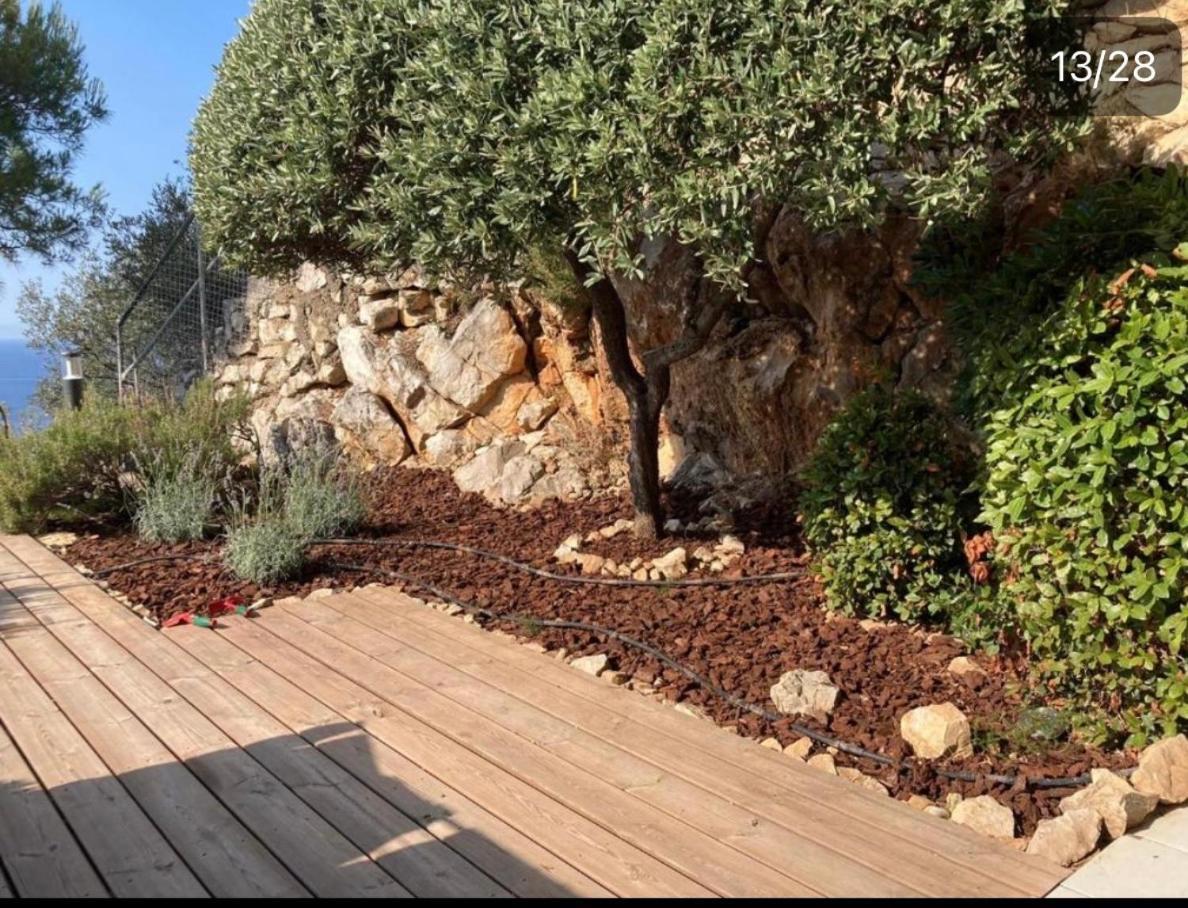 Apartment Sunny Costa Plana-monaco -cap D'ail *