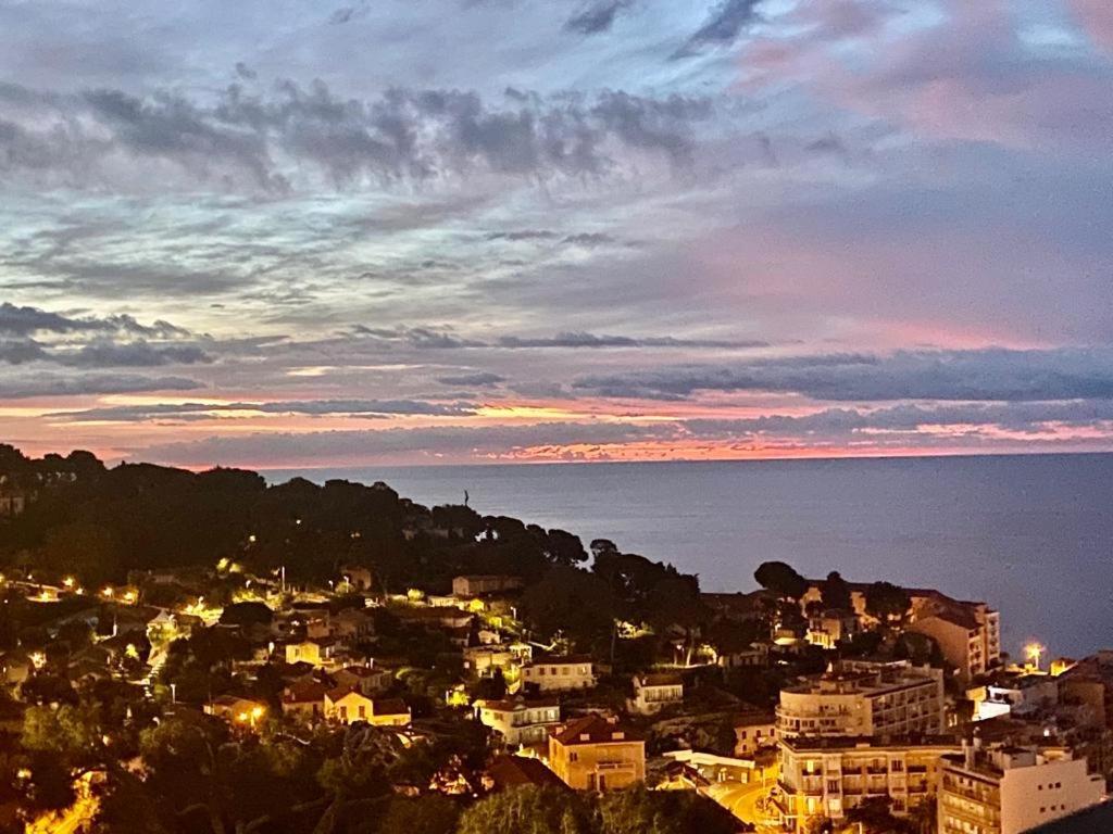 Sunny Costa Plana-monaco -cap D'ail Apartment *
